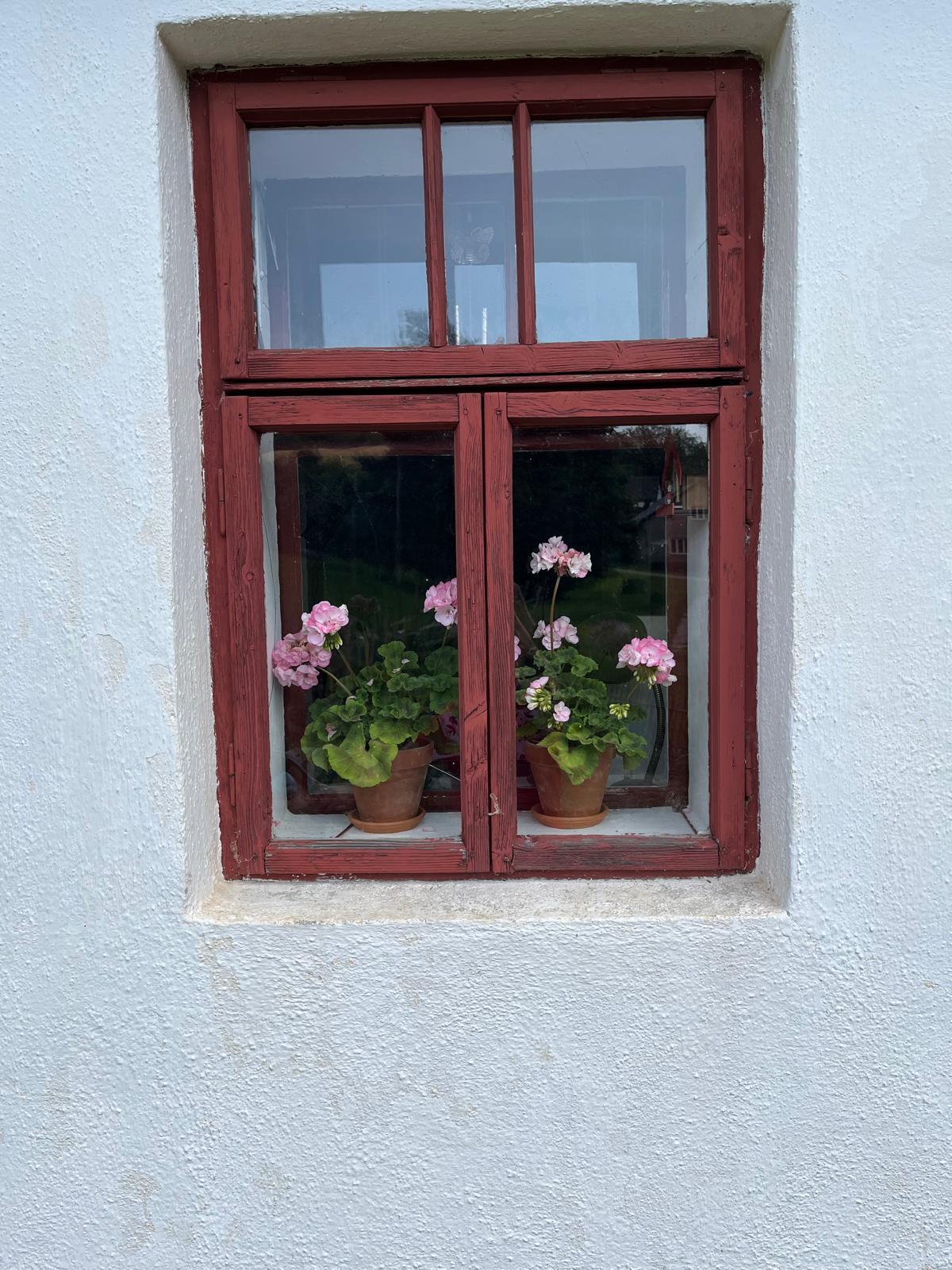 Před